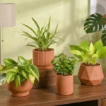 Air Purifying Combo