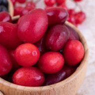 Miracle Berry Plant Pack Of -1 - Image 3